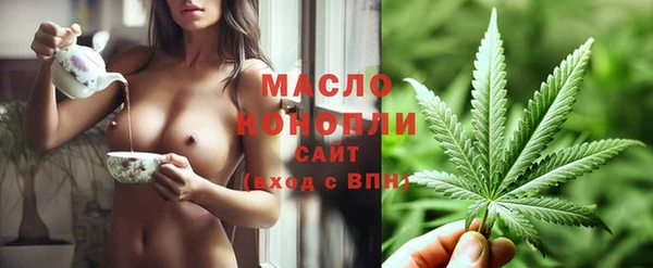 молекула духа Богородицк