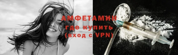 молекула духа Богородицк