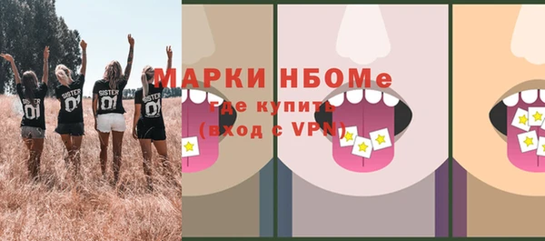 молекула духа Богородицк
