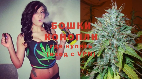молекула духа Белокуриха