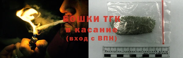 спайс Богданович