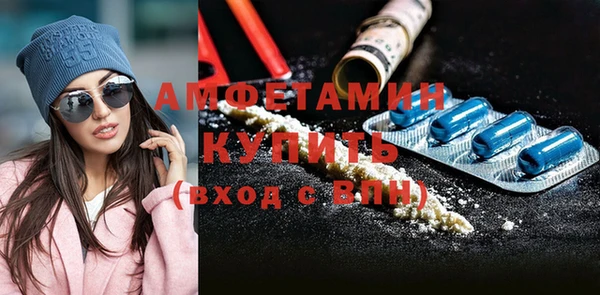 молекула духа Богородицк