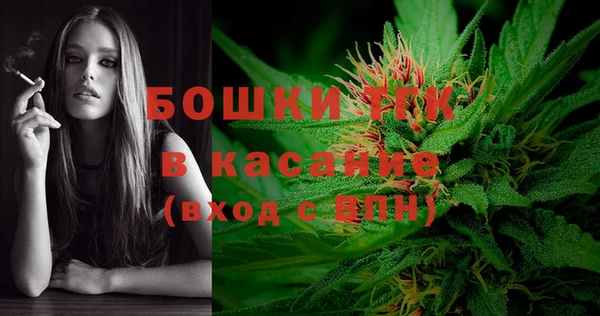 молекула духа Богородицк