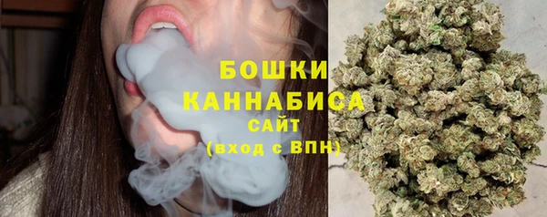 молекула духа Белокуриха