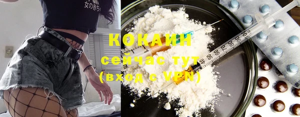 спайс Богданович
