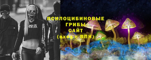 спайс Богданович