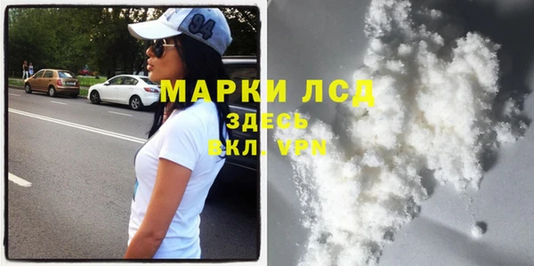 спайс Богданович