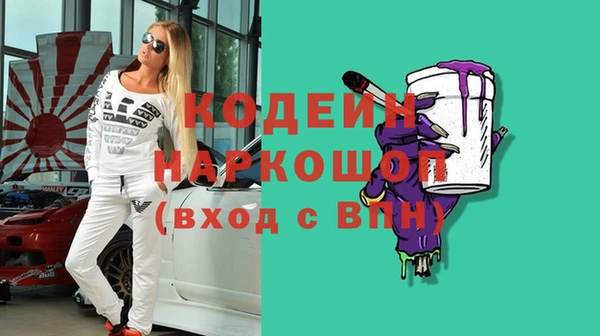 молекула духа Богородицк