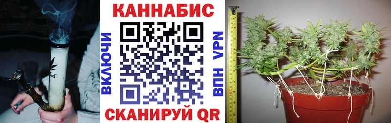 Купить  Спас-Деменск  Конопля планчик 